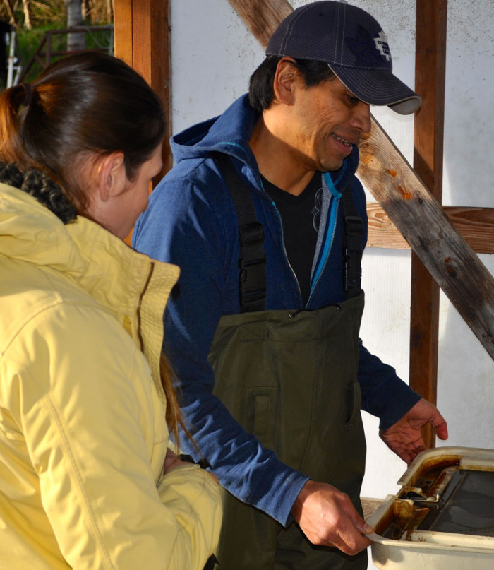 Of Salmon Eggs, Brood stock and Floods