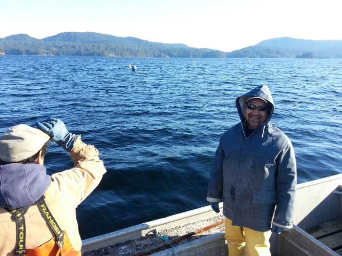 Oyster harvest returns to T’Sou-ke