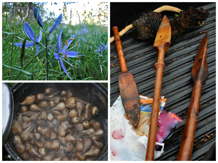 In praise of the blue camas