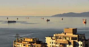 oil tankers anchored in a bay