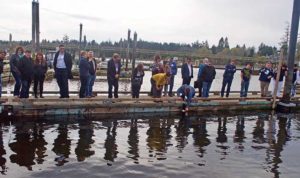 people viewing an oil spill