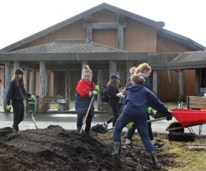 People working in garden