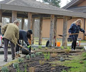 People working a garden