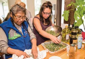 preparing plants for medicine