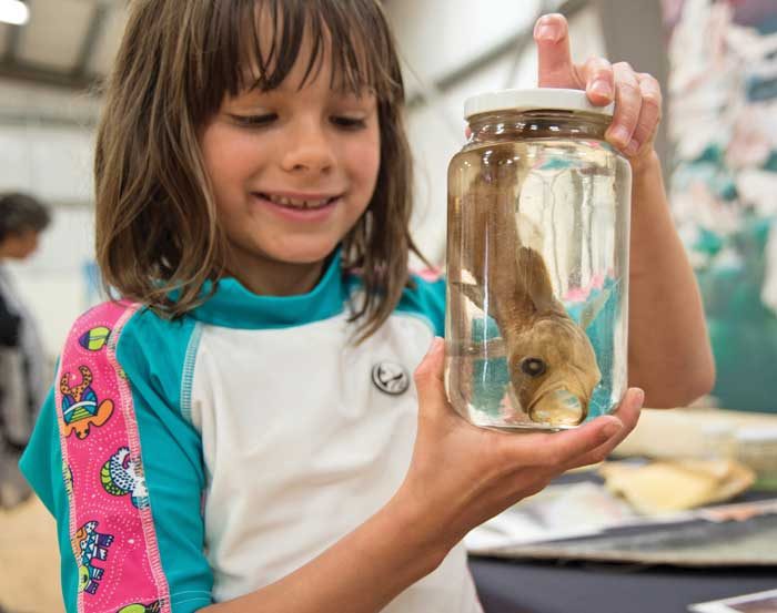 Halalt kids learn about sea life