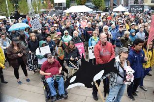 crowd gathered to protest