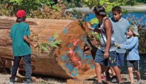 children blessing cedar log