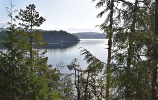 coastal island view