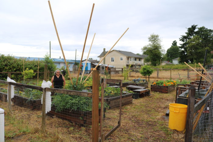 Tla’amin promotes food security with community garden