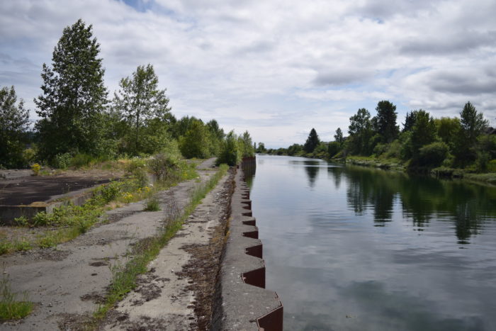 What is an estuary?